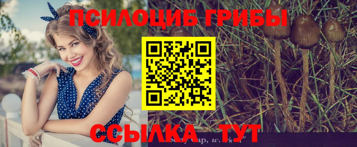 Галлюциногенные грибы GOLDEN TEACHER Таганрог