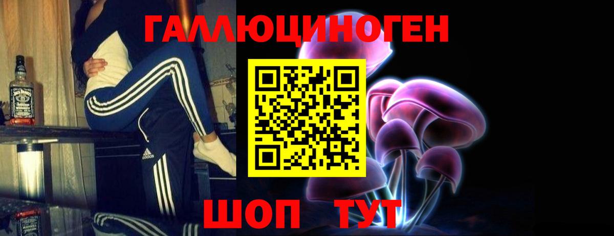 Галлюциногенные грибы прущие грибы  Вход с VPN  купить   Таганрог 
